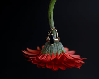 Gold ring with a black gemstone on a red flower against a black background